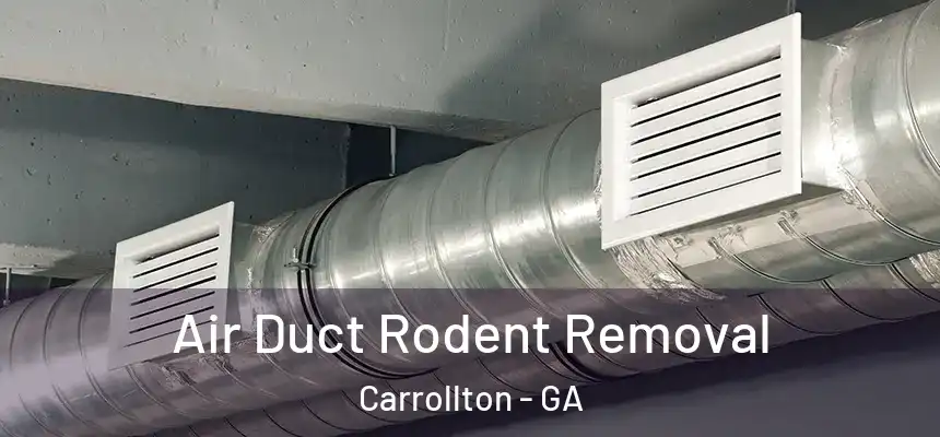 Air Duct Rodent Removal Carrollton - GA