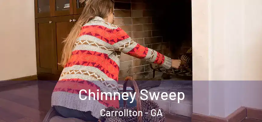  Chimney Sweep Carrollton - GA