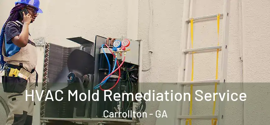  HVAC Mold Remediation Service Carrollton - GA