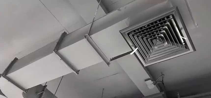 Restorative Allergy Relief Vent Cleaning – Coil, Blower & Housing Detail in Carrollton