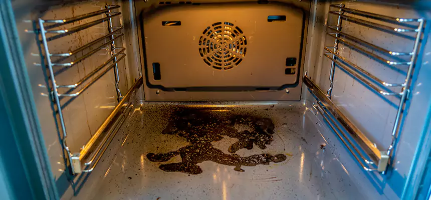 Our Dryer Vent Mold Cleaning Services in Carrollton, GA