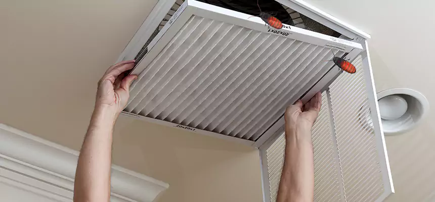 Our Insect Removal from Air Ducts Services in Carrollton, GA