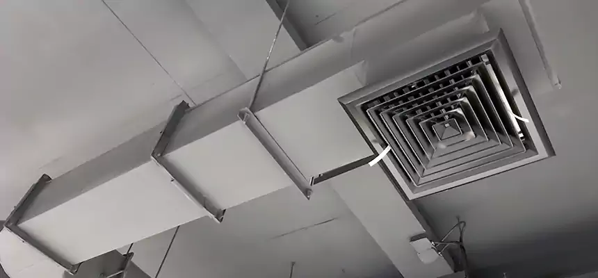 Our Pest Removal From Ducts Services in Carrollton, GA