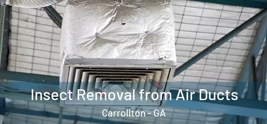  Insect Removal from Air Ducts Carrollton - GA