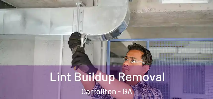  Lint Buildup Removal Carrollton - GA