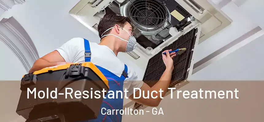  Mold-Resistant Duct Treatment Carrollton - GA