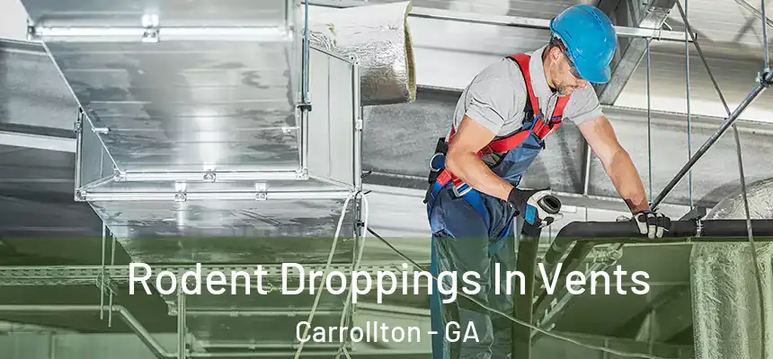  Rodent Droppings In Vents Carrollton - GA