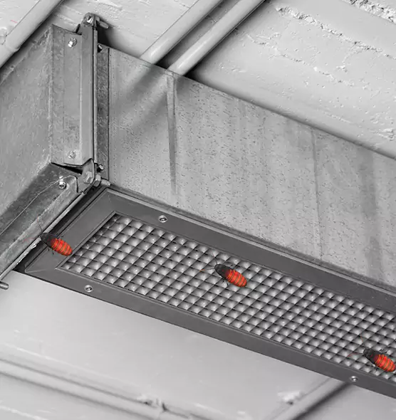 About Air Duct Cockroach Removal in Carrollton, GA