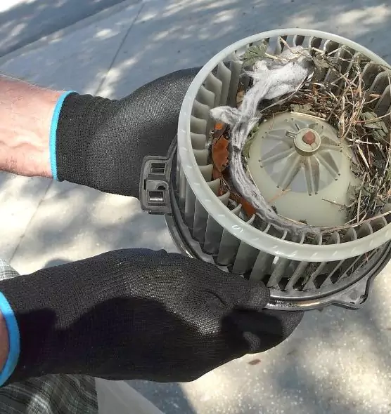 About Air Duct Rat Removal in Carrollton, GA