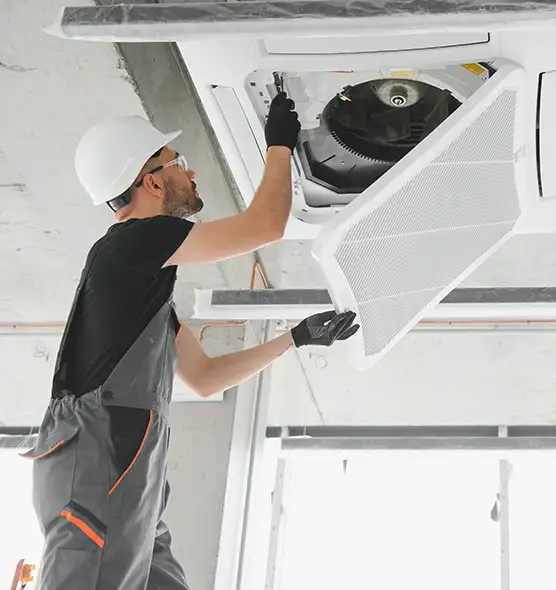 About Air Duct Rodent Removal in Carrollton, GA