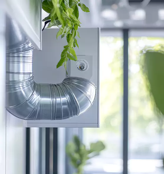 Professional Eco-Safe Dryer Vent Cleaning in Carrollton, GA