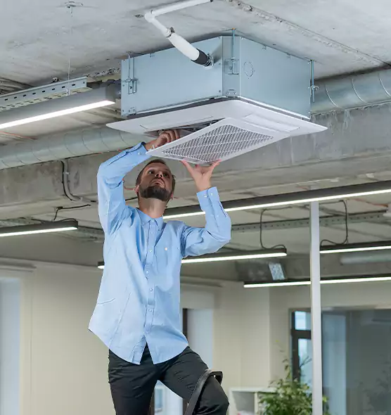 Advanced Rodent Droppings In Vents in Carrollton, GA