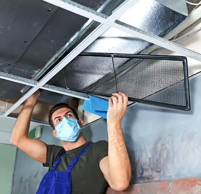 Why Homeowners Businesses Trust Us in Carrollton, GA