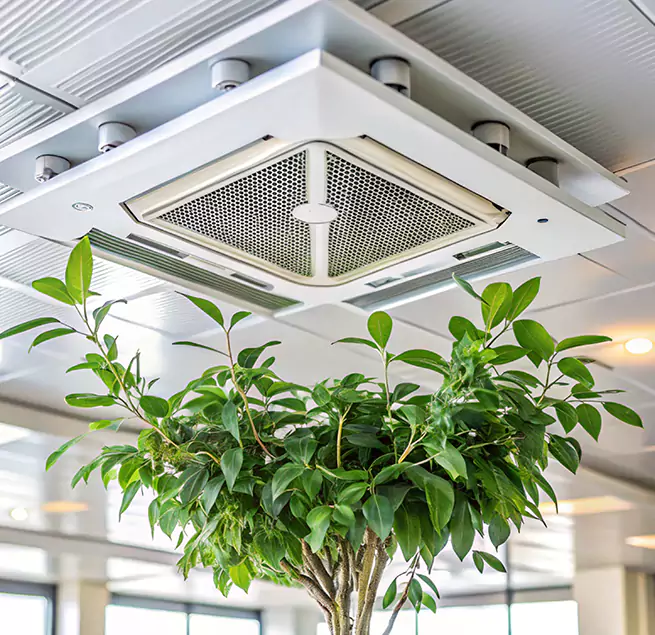 Why Homeowners & Businesses Trust Us in Carrollton, GA?