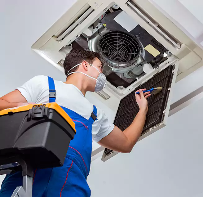 Why Homeowners & Businesses Trust Us in Carrollton, GA?